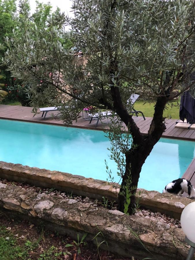 Bed and Breakfast Marquis De Carrou Rochefort-Sanson Exterior foto